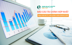 báo cáo tài chính hợp nhất trên bravo