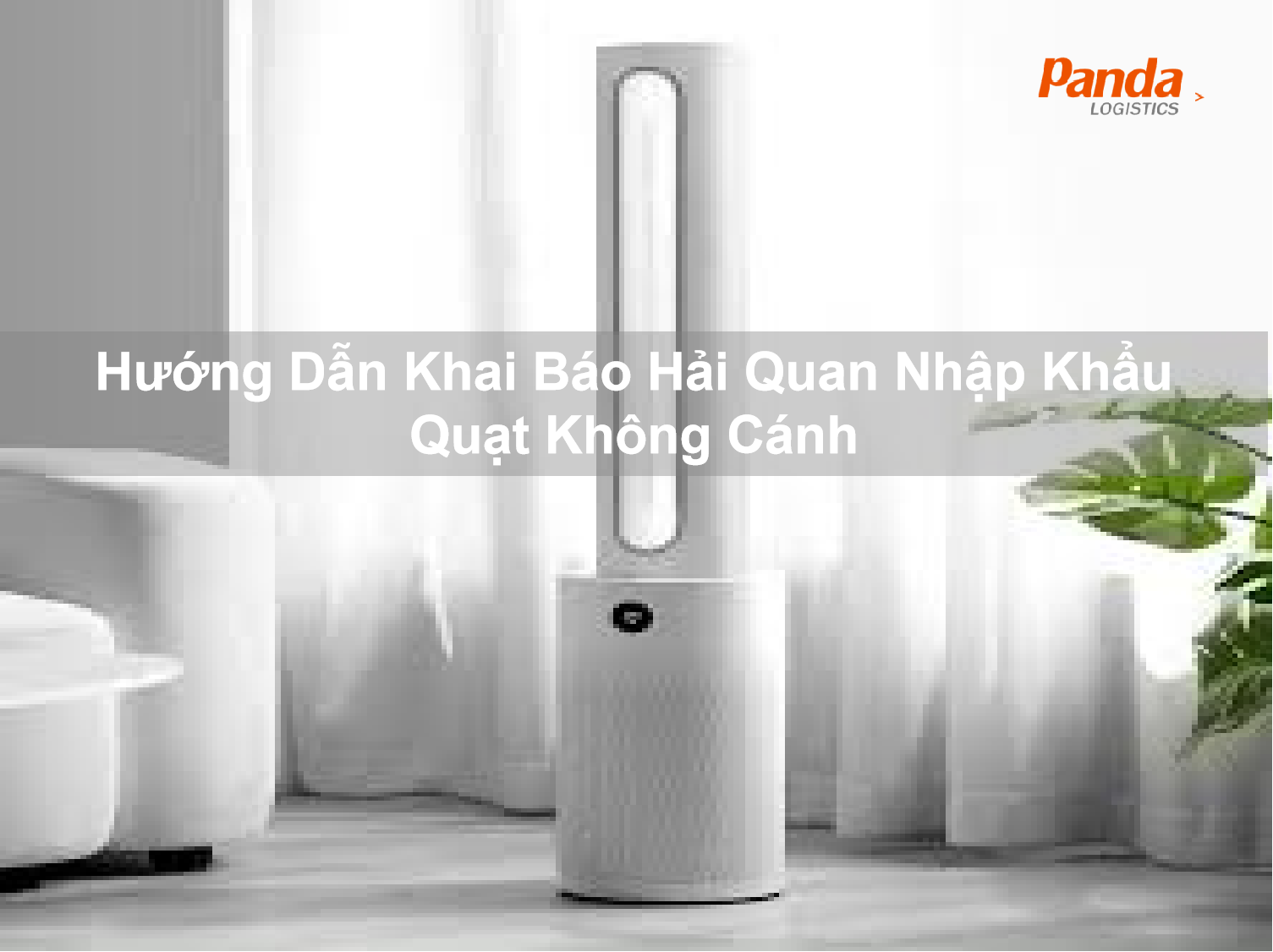 huong-dan-khai-bao-hai-quan-nhap-khau-quat-khong-canh-9706.png