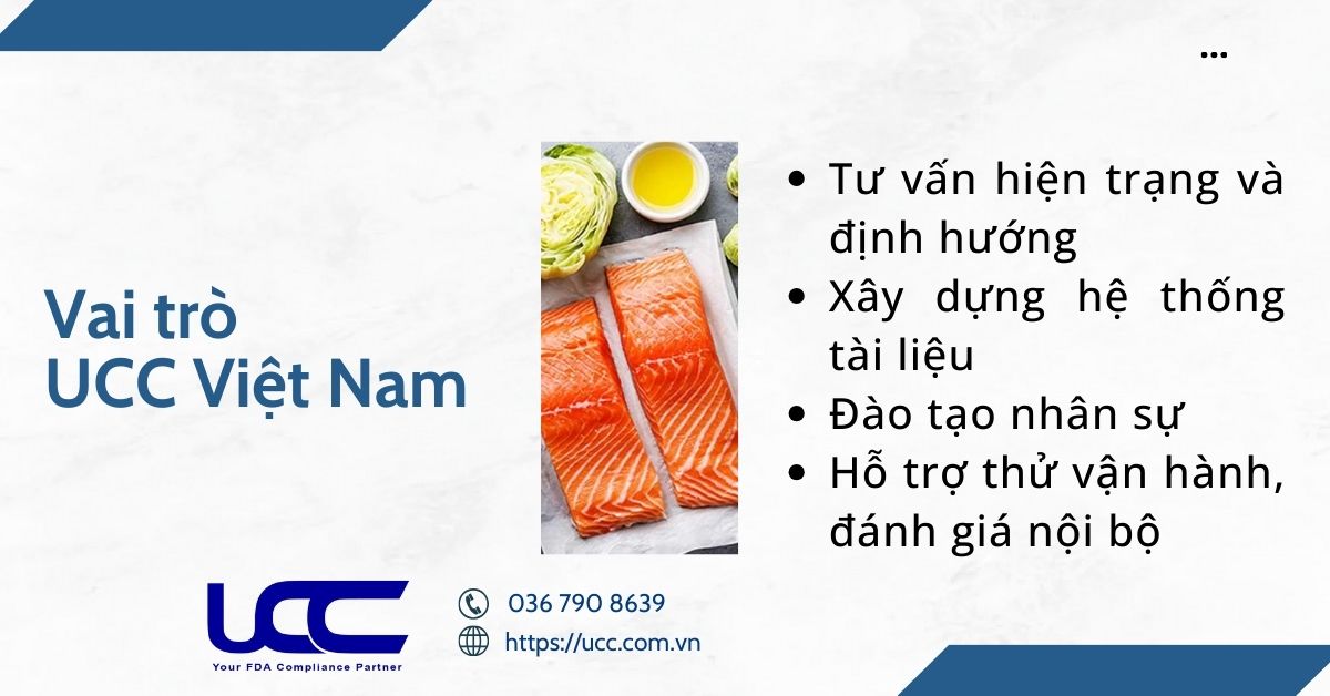 Vai trò của UCC Việt Nam