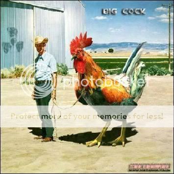 bigcock.jpg