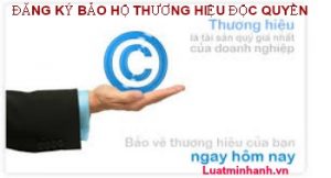 Thu-tuc-dang-ky-bao-ho-thuong-hieu-doc-quyen-300x162.jpg