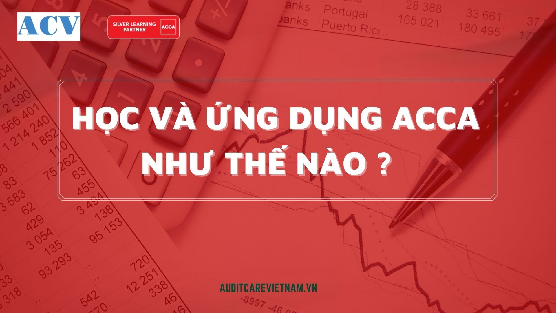 www.auditcarevietnam.vn